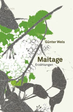 Maitage - Wels, Günter