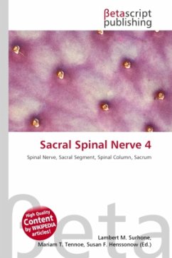 Sacral Spinal Nerve 4