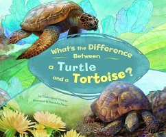 What's the Difference Between a Turtle and a Tortoise? - Speed Shaskan, Trisha