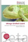 Ukinga Girdled Lizard