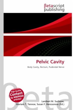 Pelvic Cavity