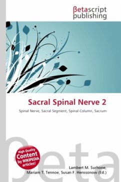 Sacral Spinal Nerve 2