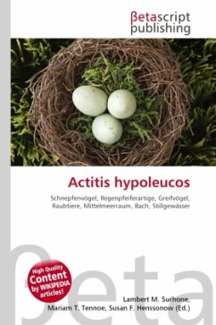 Actitis hypoleucos