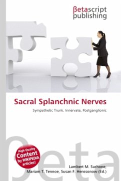 Sacral Splanchnic Nerves