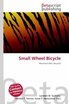 Small Wheel Bicycle
