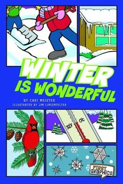 Winter Is Wonderful - Meister, Cari