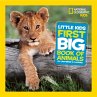 Little Kids First Big Book of Animals - Bild 1