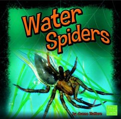 Water Spiders - Mattern, Joanne
