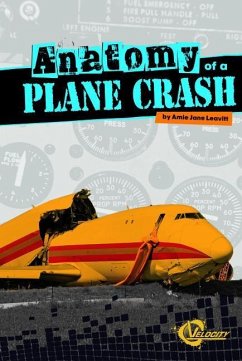 Anatomy of a Plane Crash - Leavitt, Amie Jane