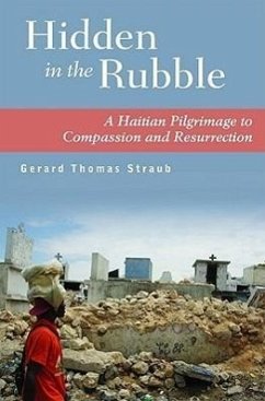 Cover Hidden in the Rubble