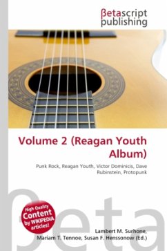 Volume 2 (Reagan Youth Album)