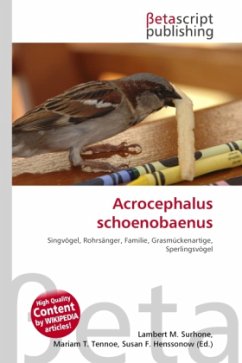 Acrocephalus schoenobaenus