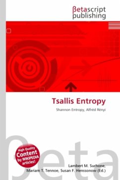 Tsallis Entropy