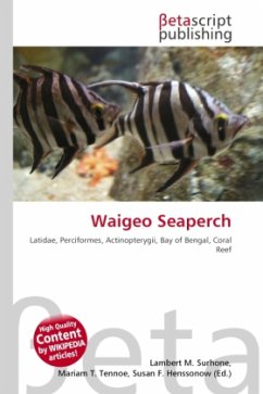 Waigeo Seaperch