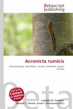 Acronicta rumicis