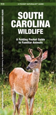 South Carolina Wildlife - Kavanagh, James; Waterford Press