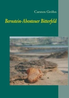Bernstein-Abenteuer Bitterfeld - Gröhn, Carsten