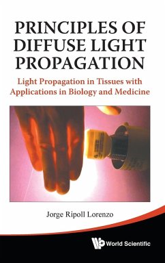Principles of Diffuse Light Propagation