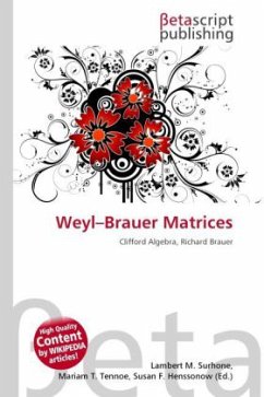 Weyl Brauer Matrices