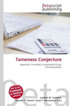 Tameness Conjecture