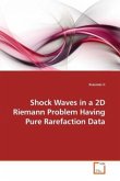 Shock Waves in a 2D Riemann Problem Having Pure Rarefaction Data