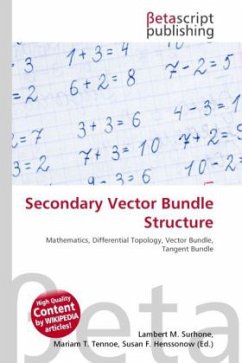 Secondary Vector Bundle Structure