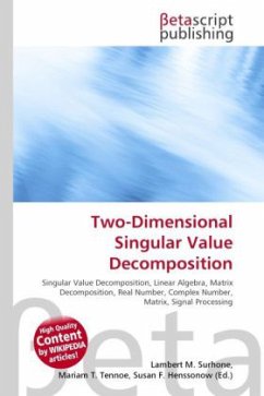 Two-Dimensional Singular Value Decomposition