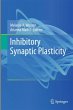 Inhibitory Synaptic Plasticity - Bild 1
