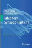 Inhibitory Synaptic Plasticity