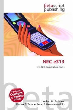 NEC e313