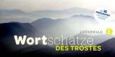 Wortschätze des Trostes