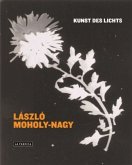 László Moholy-Nagy, Kunst des Lichts