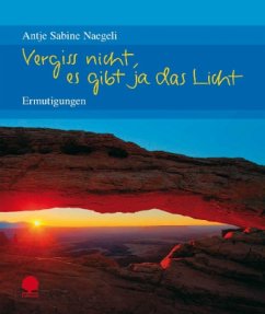 Cover Vergiss nicht, es gibt ja das Licht