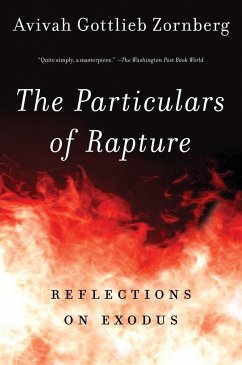 The Particulars of Rapture - Zornberg, Avivah Gottlieb