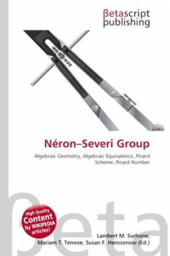 Néron Severi Group