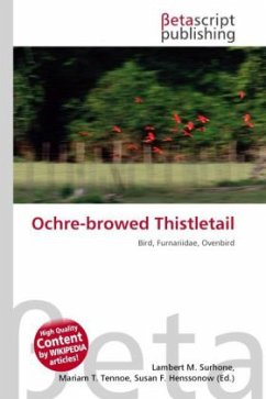 Cover Ochre-browed Thistletail