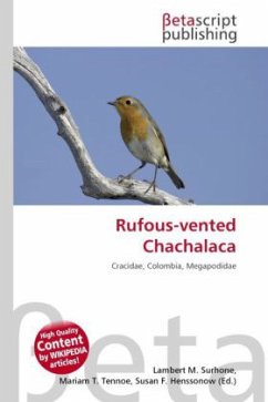 Rufous-vented Chachalaca