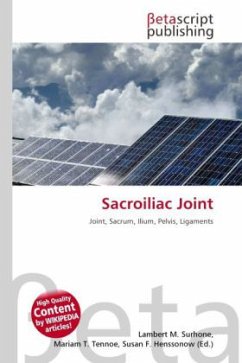 Sacroiliac Joint