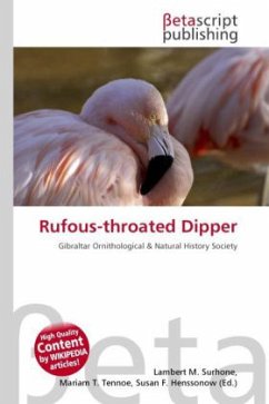 Rufous-throated Dipper
