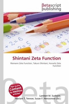 Shintani Zeta Function