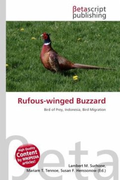 Rufous-winged Buzzard