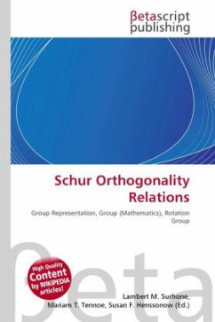 Schur Orthogonality Relations