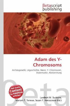 Adam des Y-Chromosoms