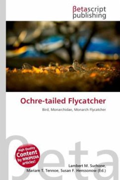 Cover Ochre-tailed Flycatcher