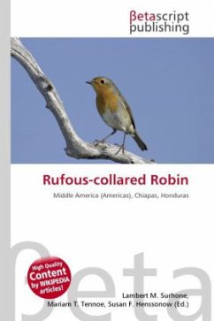 Rufous-collared Robin