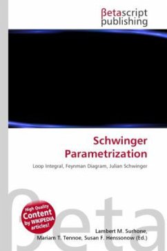 Schwinger Parametrization