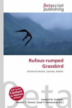 Rufous-rumped Grassbird