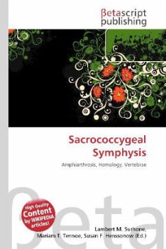 Cover Sacrococcygeal Symphysis