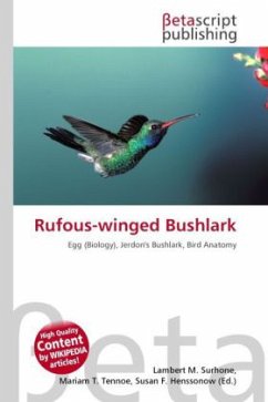 Rufous-winged Bushlark