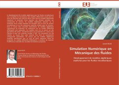 Simulation Numérique en Mécanique des fluides - HELIN, Lionel